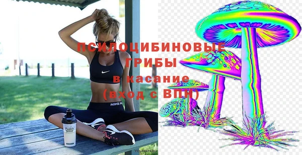 каннабис Алексеевка
