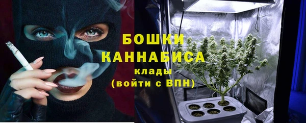 PSILOCYBIN Абаза