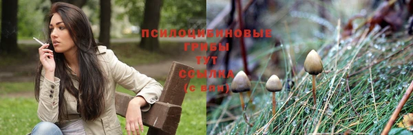 твердый Алзамай