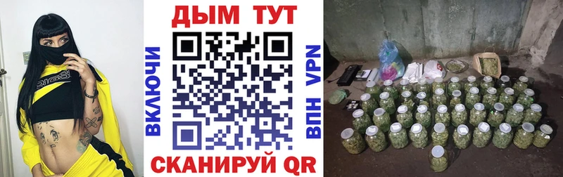 где можно купить наркотик  Ряжск  Конопля Bruce Banner 